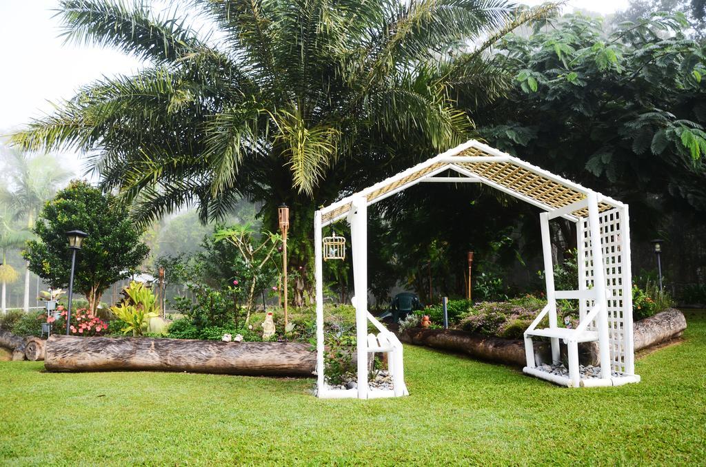 Ronday-Voo Bed And Breakfast Speewah Rom bilde